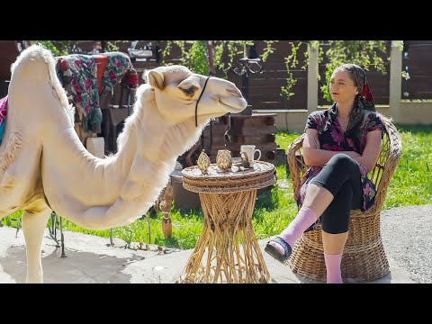 Amanta pleacă în Dubai #3chestii