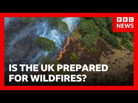 Lives 'will be lost' unless UK does more to combat wildfires, experts warn | BBC News