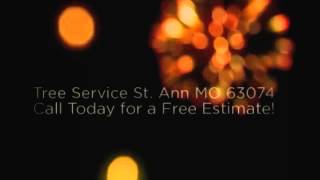 preview picture of video '(314) 675-1020 Tree Service Free Estimate St. Ann MO 63074'