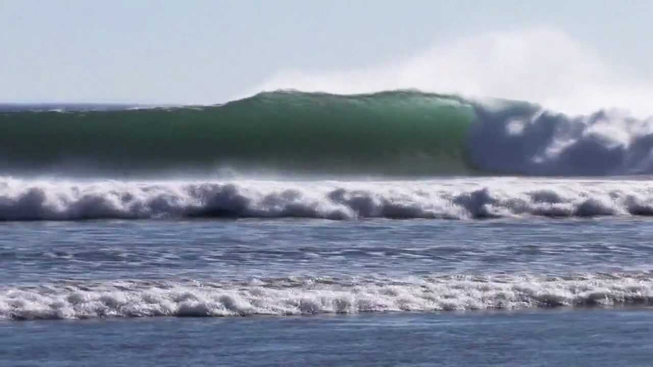 A Paradigm Shift Official Trailer