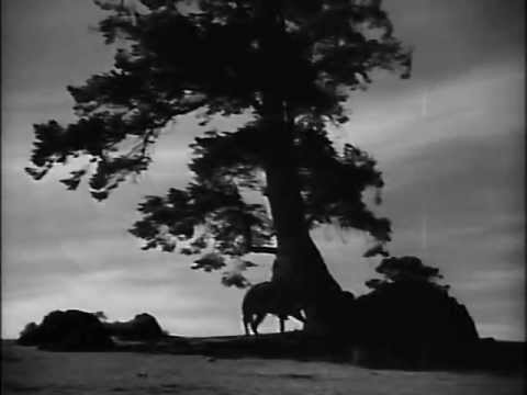 El jinete. Jorge Negrete