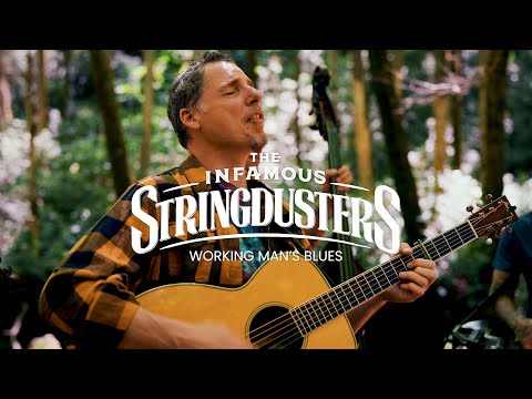 The Infamous Stringdusters - "Working Man Blues" (Official Music Video)
