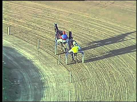 Trotto 17/09/2015 - 2° prova di riqualifica