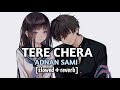 Tere Chehra Adnan Sami Slowed Reverb Peace Please