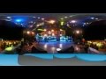 Shaggy Strength Of A Woman Video360