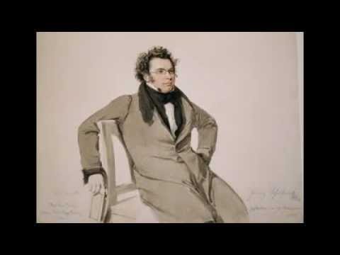 Franz Schubert.Sonatas D958&D959.Leif Ove Andsnes