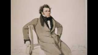 Franz Schubert.Sonatas D958&D959.Leif Ove Andsnes
