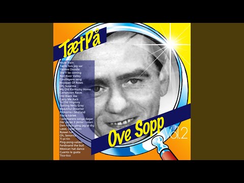 Red River Valley, Cowboyens sang, Bouquet Of Roses