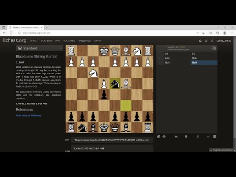 Kostićev gambit (Blackburne Shilling Gambit) - Analiza šahovskog otvaranja