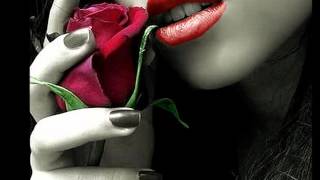 CHRIS NORMAN - for you