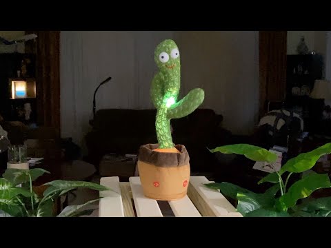 Cactus Dancing Toys
