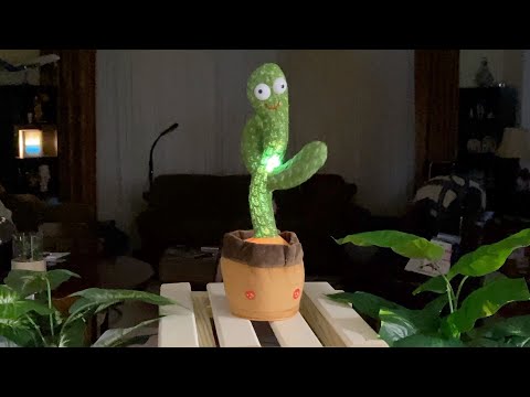 Dancing Cactus For Kids