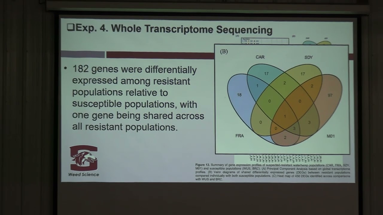 Allelopathy and Weed Suppression Potential of Cereal Rye and Winter Barley