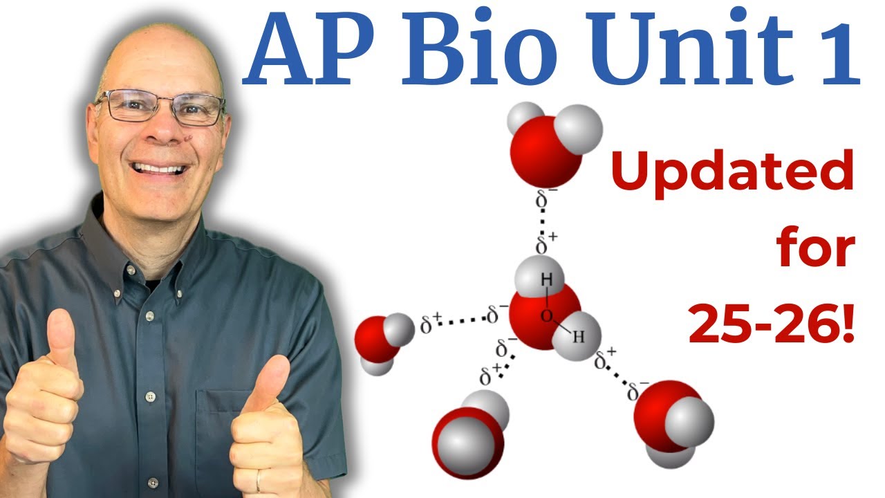 AP Bio Unit 1 (Chemistry of Life) Review. Crush your unit test!