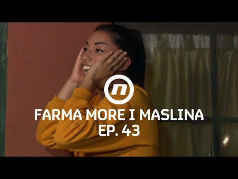 Šok koji mijenja sve - Epizoda 43 | Farma More i Maslina