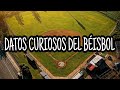 Datos curiosos del béisbol / LUGO POWER NSLL / REY DE LOS DEPORTES⚾️