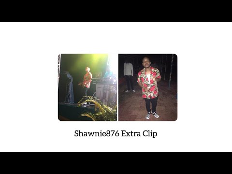 Shawnie876 - EXTRA CLIP  (Brik Pan Brik Riddim)