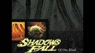 Shadows Fall- To Ashes
