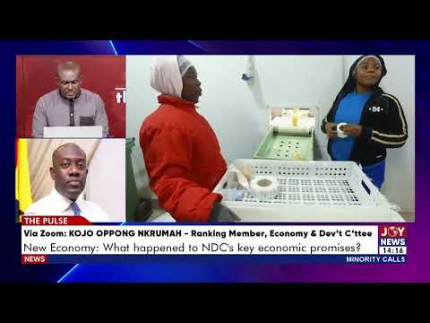 Oppong Nkrumah urges govt to pause the 'New Economy' and account for previous promises | The Pulse