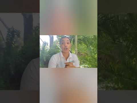 Understanding The 5Ps of Strategy