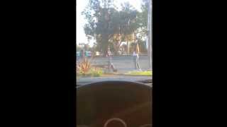 Charles Bukowski - The Life of the King