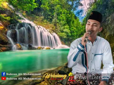 Suluk Kullul Qulub lirik + Terjemahannya (Voc.) Answar ibrahim - Welulang Sholawat ll Badbud Audio