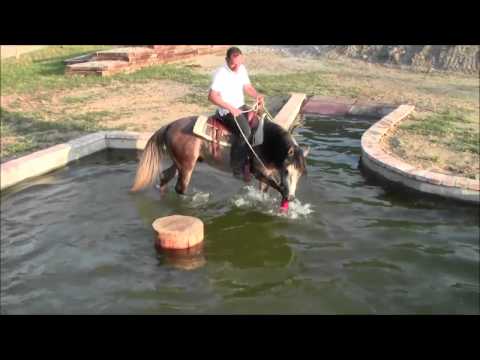 Passaggio nel laghetto