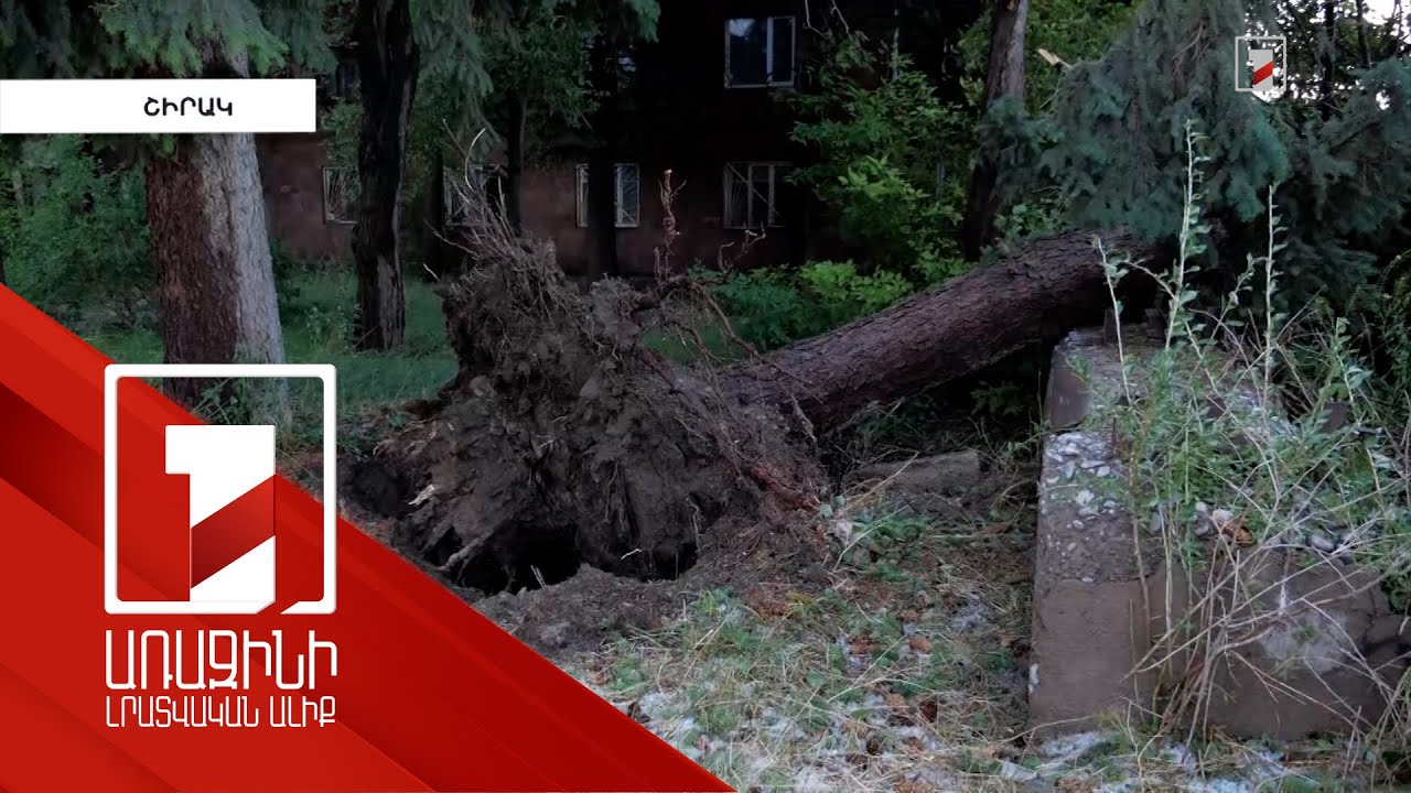 Հաշվարկներ ենք անում, կուղարկենք կառավարություն՝ լուծումների համար. մարզպետը՝ կարկտի վնասի մասին