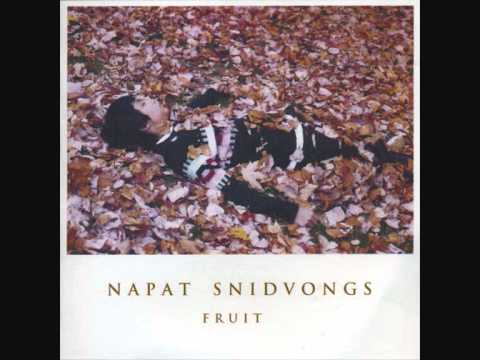 Napat Snidvongs - เหตุผล (Reason)