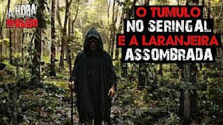O TÚMULO NO SERINGAL E A LARANJEIRA ASSOMBRADA 