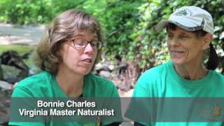 What is a Virginia Master Naturalist?