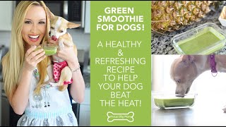 Green Smoothie For Dogs: A Refreshing Treat In Minutes | Proud Dog Mom