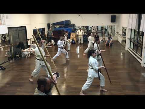 Choun no kun - Ryukyu Kobudo Ryukonkai- Nintai Dojo