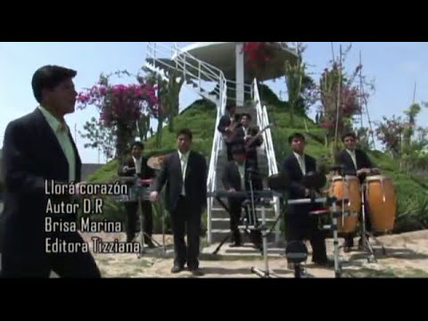 Brisa Marina - Llora Corazón