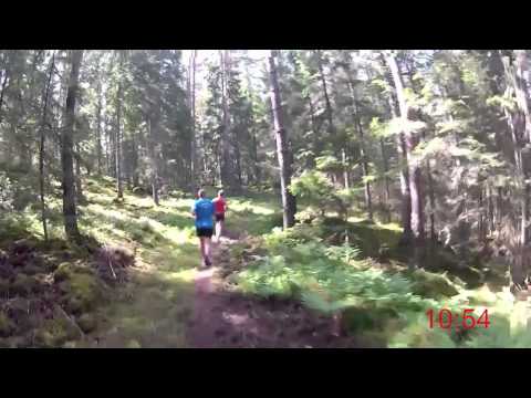 Dalenrundan 2012 - 6 km (Löparperspektiv, lång)