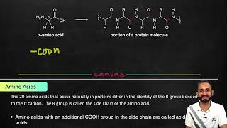 Biomolecules - L4