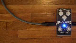 Video thumbnail for BLACK TIGER DELAY | GREER AMPS | JOSH MURTY DEMO by Greer Amps