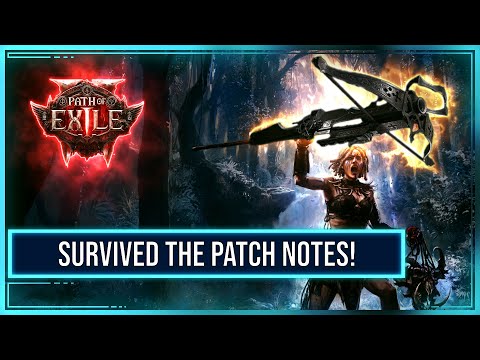 Path of Exile 2: Ultimate Amazon Build – Does It Still Work?