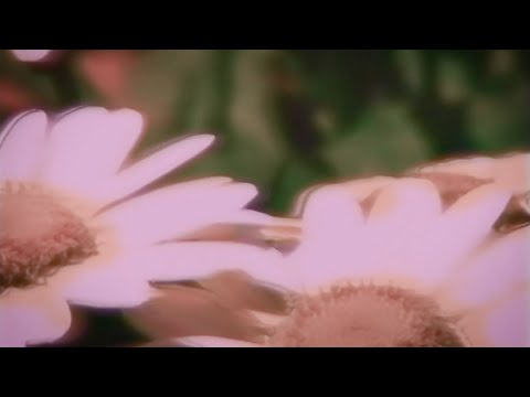 TMoN - The end of the end of history