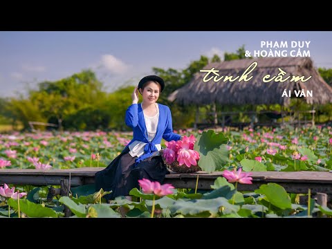 Tình cầm | thơ Hoàng Cầm | nhạc Phạm Duy | tiếng hát Ái Vân