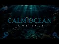 Diving Into Underwater Worlds 10 Hours Of Calm With Ocean Sounds Marine Life Jellyfish 4K UHD