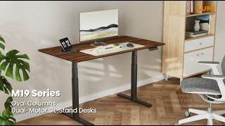 Oval Columns Dual-Motor Sit-Stand Desks | M19 Series | LUMI
