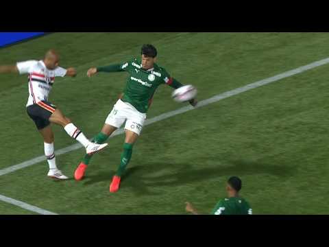The penalty kick that wasn't awarded to São Paulo against Palmeiras.