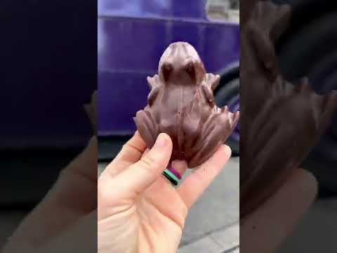 NEW Dark Chocolate Frogs at The Wizarding World of Harry Potter-Universal Orlando #shorts