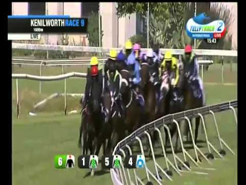 2016.01.09 Queen'S Plate (RSA) - Legal Eagle