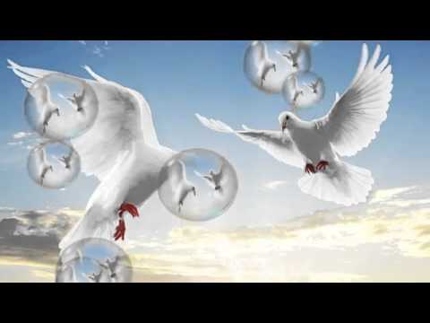 M KADDESH --TE AMO JESUS --.mp3