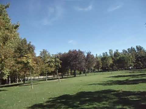 Idílica Mañana Otoñal en la Ciudad de Logroño 4