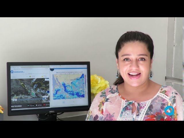 youtube video id=X1q521zP1gQ