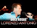 Lorenzo Antonio - "Doce Rosas" (en vivo) 