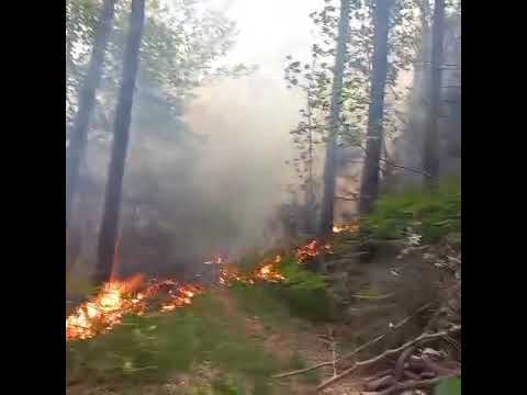 Incendio Monte Faeta